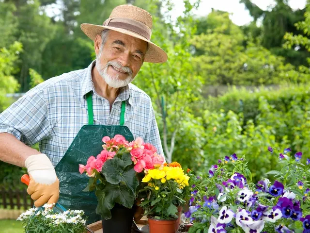 Caseiro de chapéu e avental verde cuidando de vasos de flores no jardim
